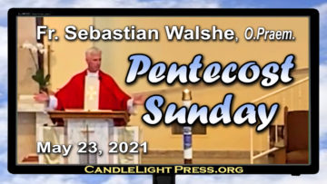 Fr. Sebastian, Pentecost Homily, May 23, 2021