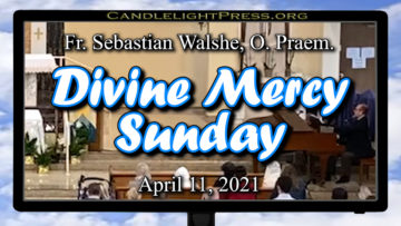 Fr. Sebastian - Divine Mercy Sunday