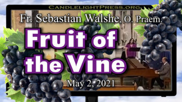 Fr. Sebastian - Fruit of the Vine (May 2, 2021)