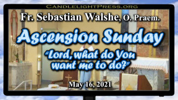 Fr. Sebastian - Ascension Sunday - Lord, What Do You Want? (May 16, 2021)
