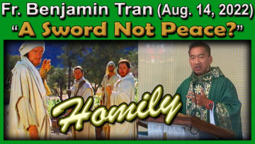 Fr. Ben Tran on The Sword Not Peace?