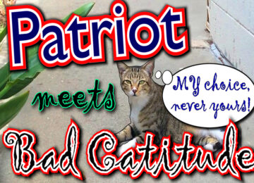 Patriot vs. Bad Catitude
