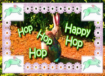 Happy Easter Bunny Hop