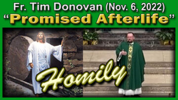 Nov. 6, 2022 Homily - Fr. Tim Donovan of the Afterlife