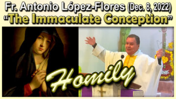 Fr. Antonio on The Immaculate Conception (Dec. 8, 2022)