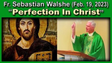 Fr. Sebastian on Perfection in Christ (Feb. 19, 2023 homily)