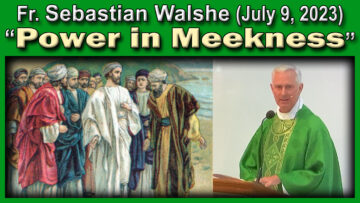 Fr. Sebastian - Power in Meekness (July 9, 2023)