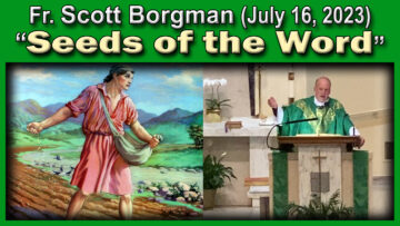 Fr. Scott Borgman on The Seed of God's Word