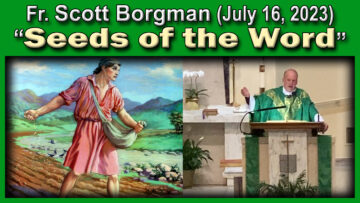 Fr. Scott Borgman on The Seed of God's Word