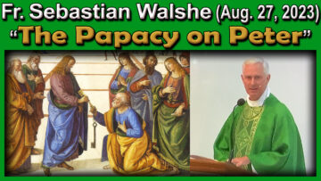 Fr. Sebastian on The Papacy