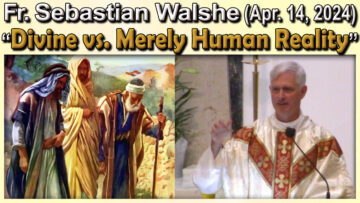 Fr. Sebastian - Divine vs. Human Reality (April 14, 2024)
