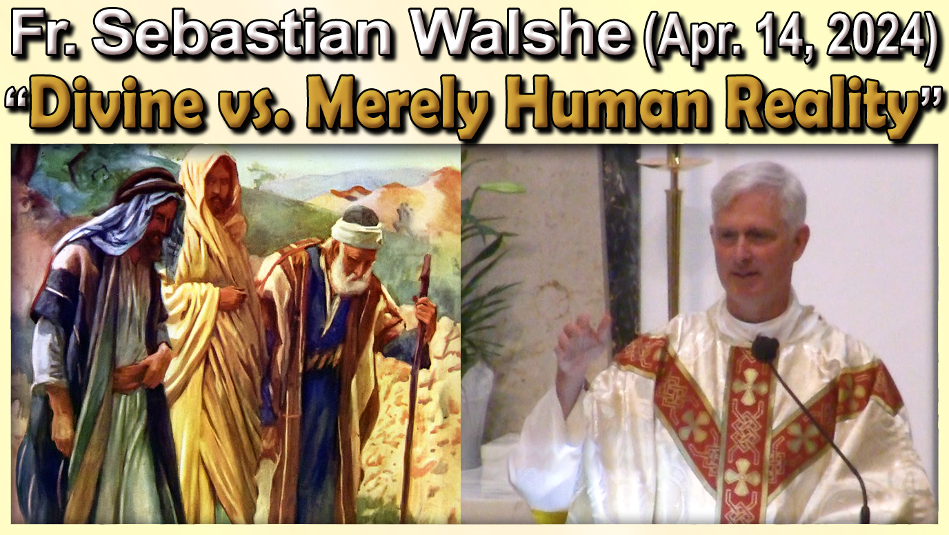 Fr. Sebastian - Divine vs. Human Reality (April 14, 2024)