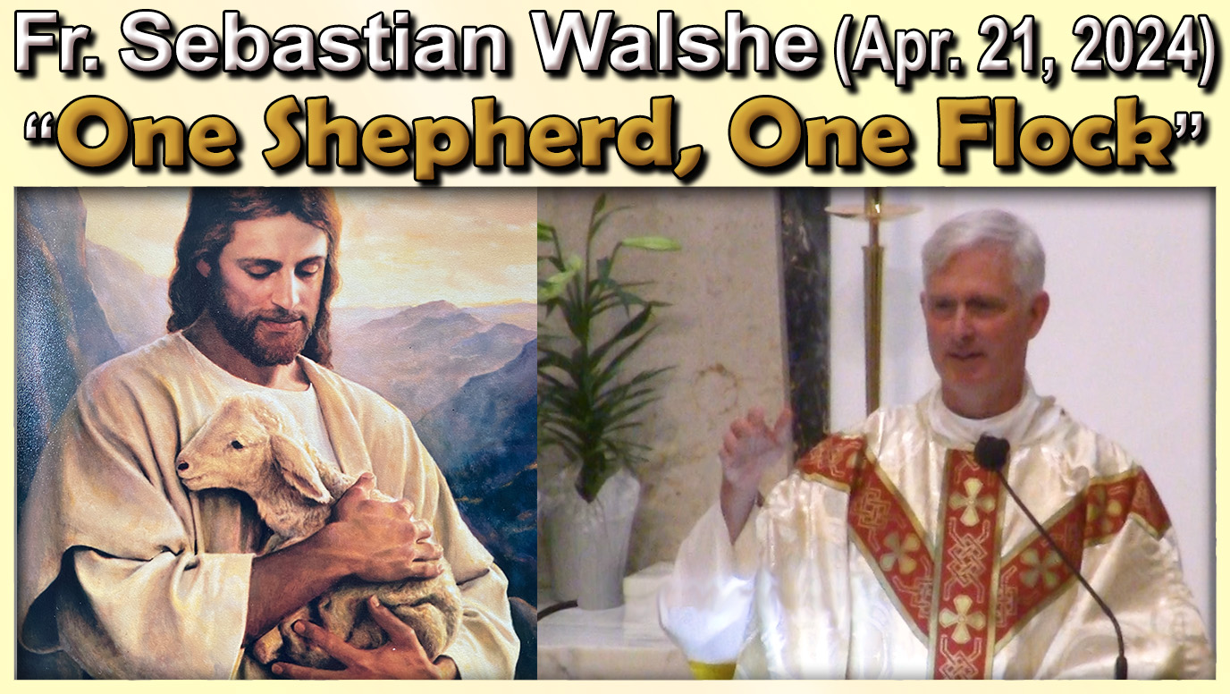 20240421 Fr_Sebastian - One Shepherd, One Flock
