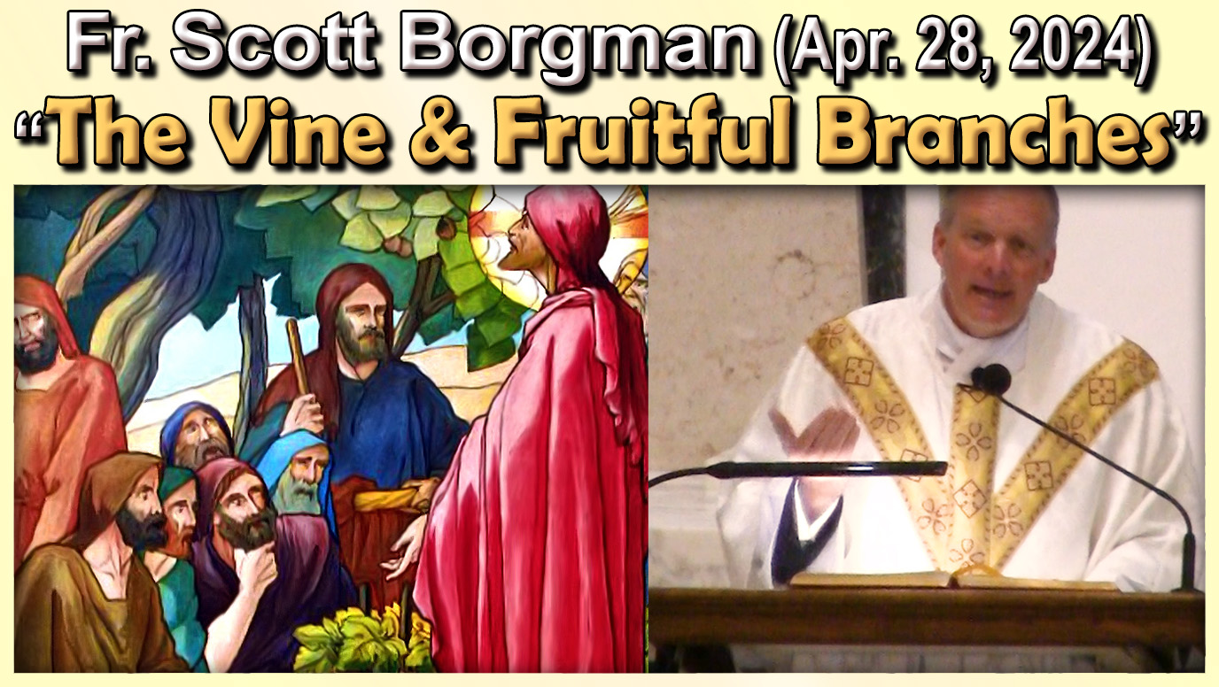 Fr. Scott on The Vine and Fruitful Branches (Apr. 28)