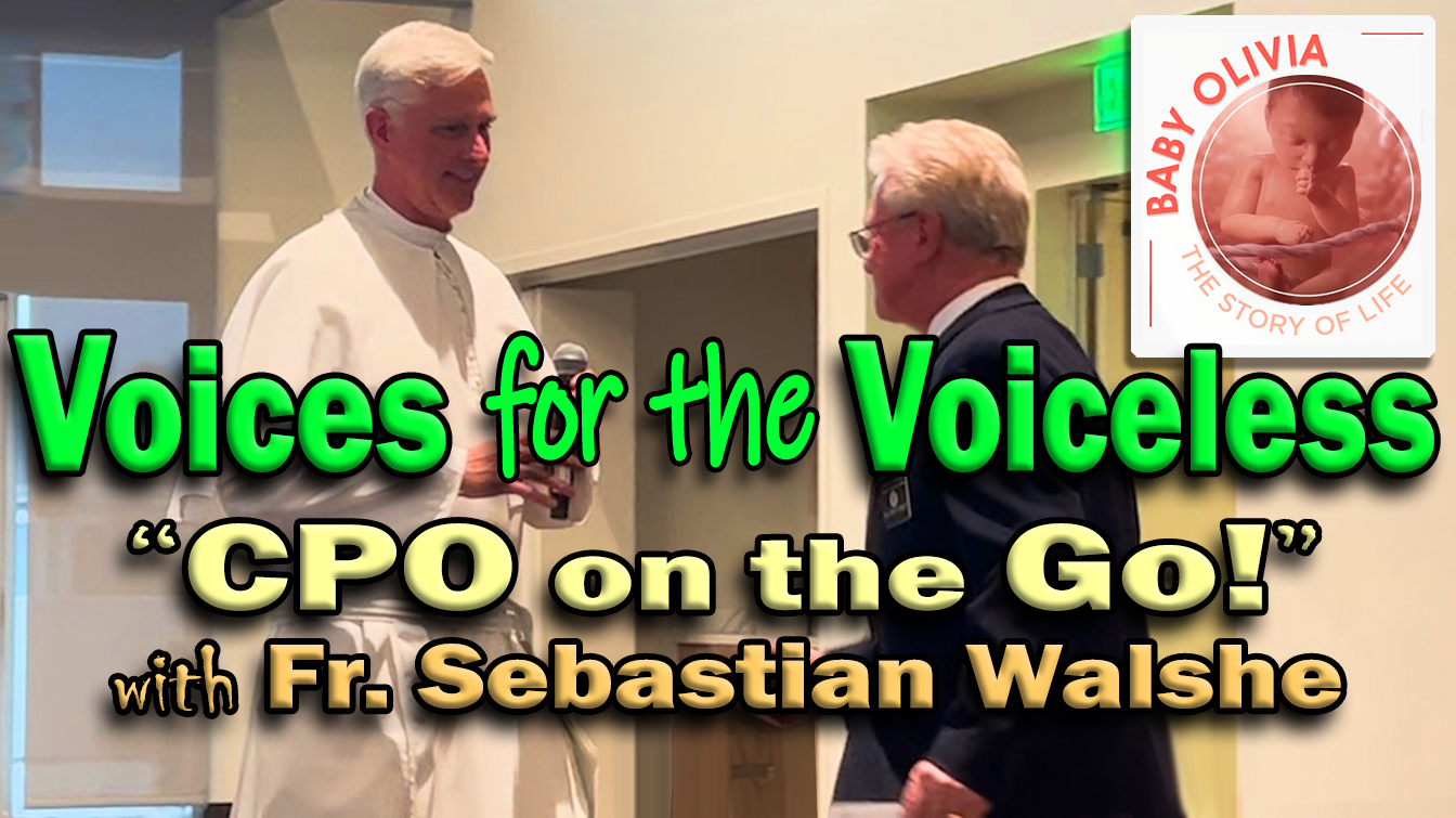 Voices for the Voiceless - Fr. Sebastian on Pro-Life
