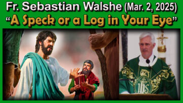 Fr. Sebastian on A Speck of a Log in Your Eye