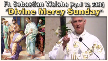 April 12, 2026 - Fr. Sebastian - Divine Mercy Sunday (7 AM)