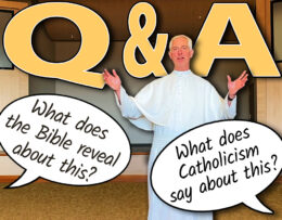 Q & A with Fr. Sebastian Walshe