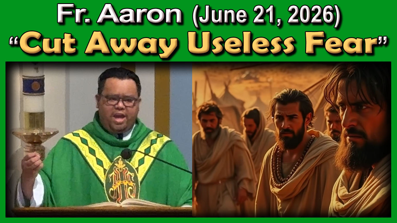 June 21, 2026 - Fr. Aaron - Cut off Fear (9 AM Mass)