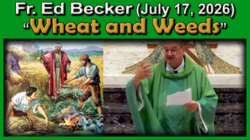 July 19, 2026 - Fr. Ed and Dcn. Carl - Wheat and Weeds 7 AM