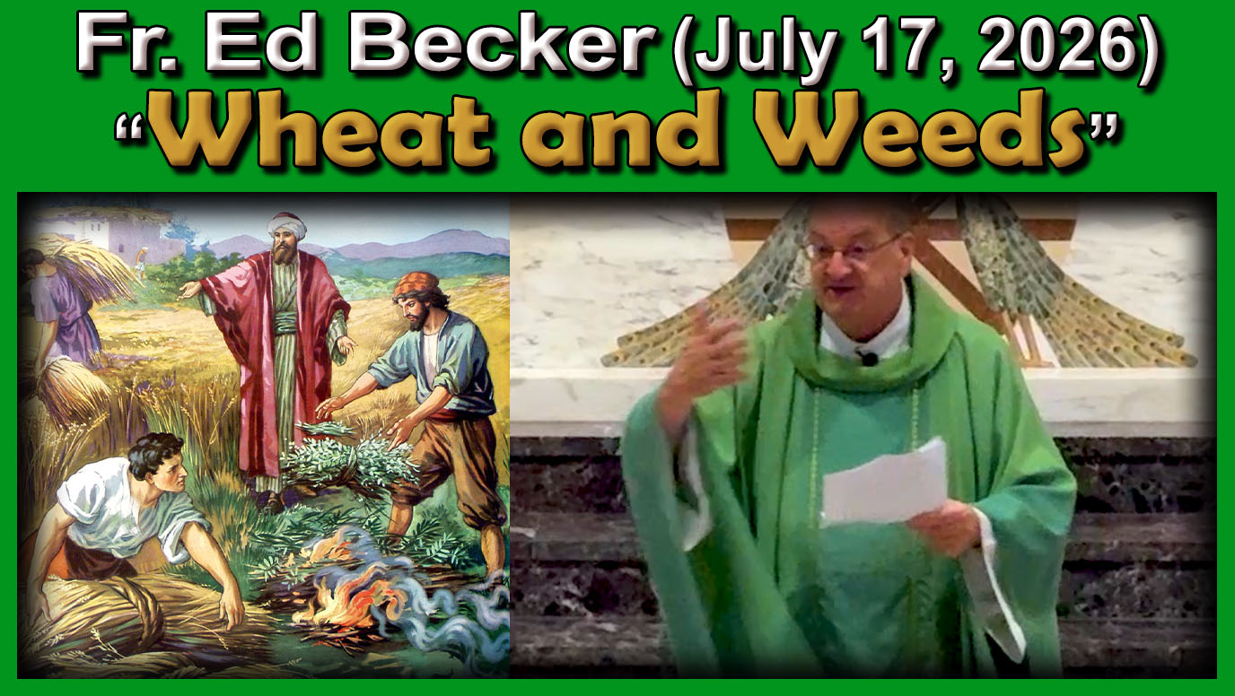 July 19, 2026 - Fr. Ed and Dcn. Carl - Wheat and Weeds 7 AM
